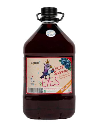 LICOR DE ENDRINAS REYES 3L.